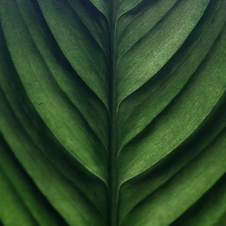 portfolio-241.jpg