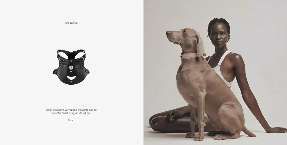 portfolio-single-simple-13.jpg