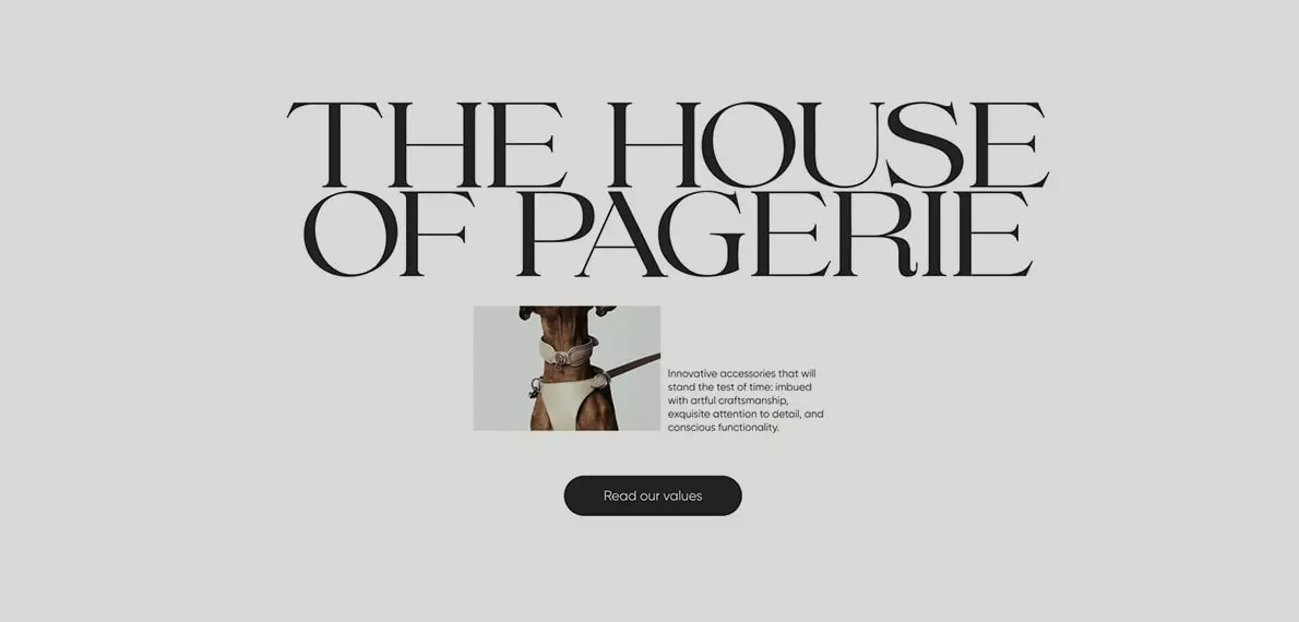 portfolio-single-simple-14.jpg