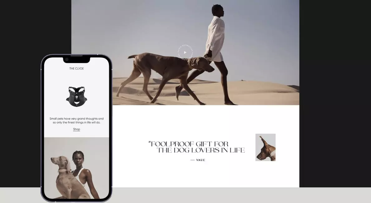 portfolio-single-simple-17.jpg